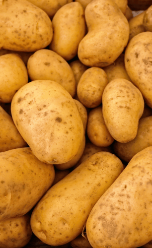 Marcador de posición de imagen utilizado para representar un producto mostrado en el patrón de productos destacados. 4 de 4.